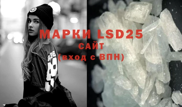 амф Липки