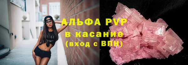 хмурый Магас