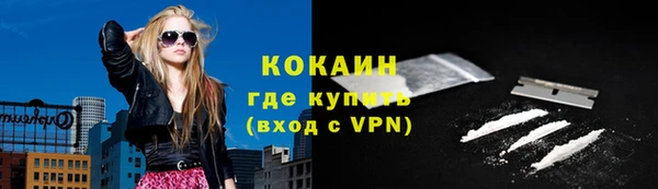 хмурый Магас