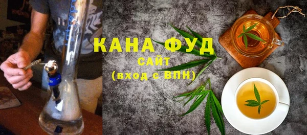 хмурый Магас