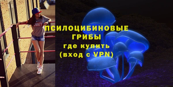 хмурый Магас