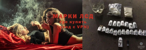 хмурый Магас