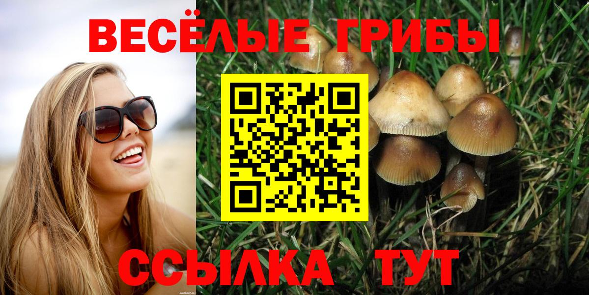 Галлюциногенные грибы Cubensis  Урай  Галлюциногенные грибы Psilocybe 
