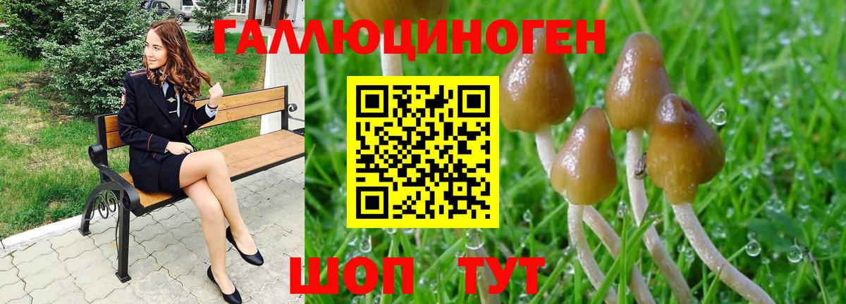Псилоцибиновые грибы Cubensis Урай